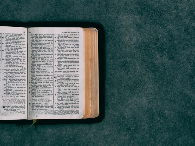 Delighting in the Law of the Lord