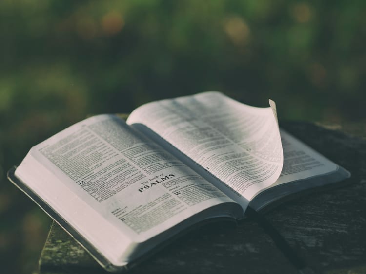 Standing Firm in Faith