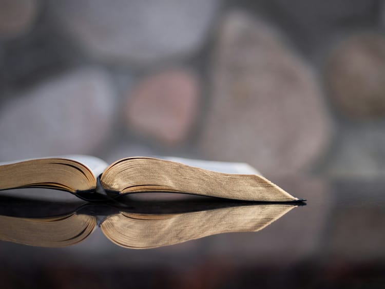 Steadfast Under Trial