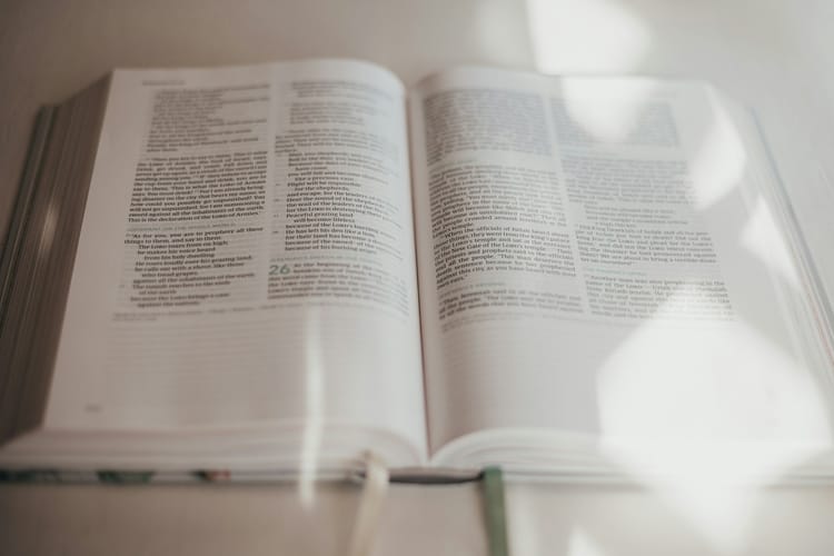 Finding Rest in His Yoke