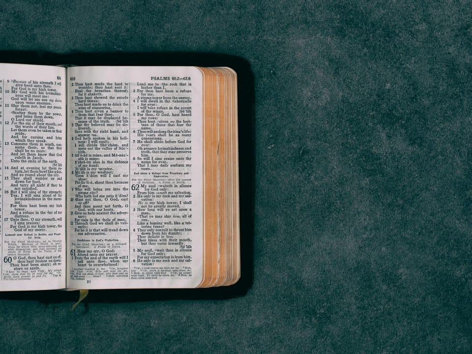 Delighting in the Law of the Lord