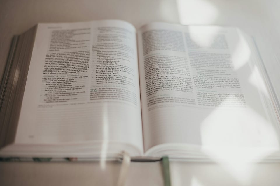 Finding Rest in His Yoke
